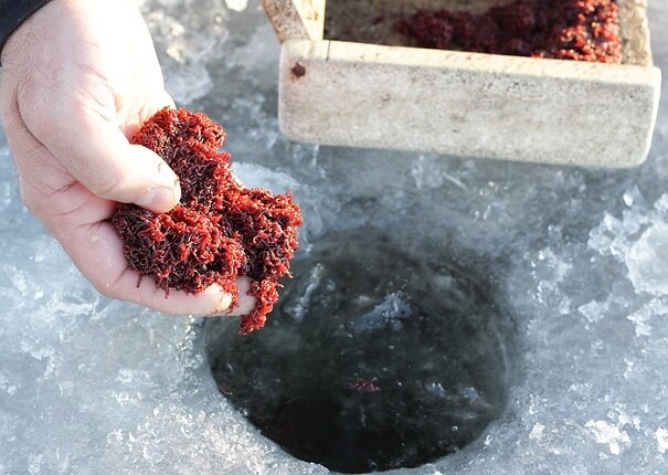 картинка взята из просторов интернета