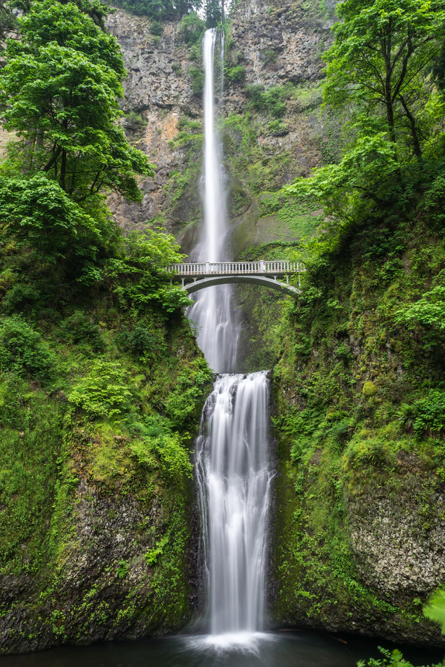 https://unsplash.com/photos/cssvEZacHvQ