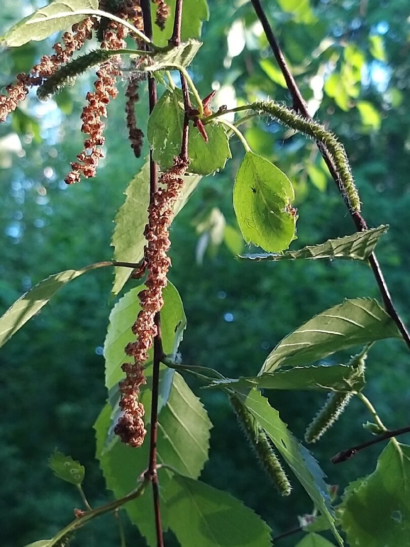                                                                                                  Фото автора статьи