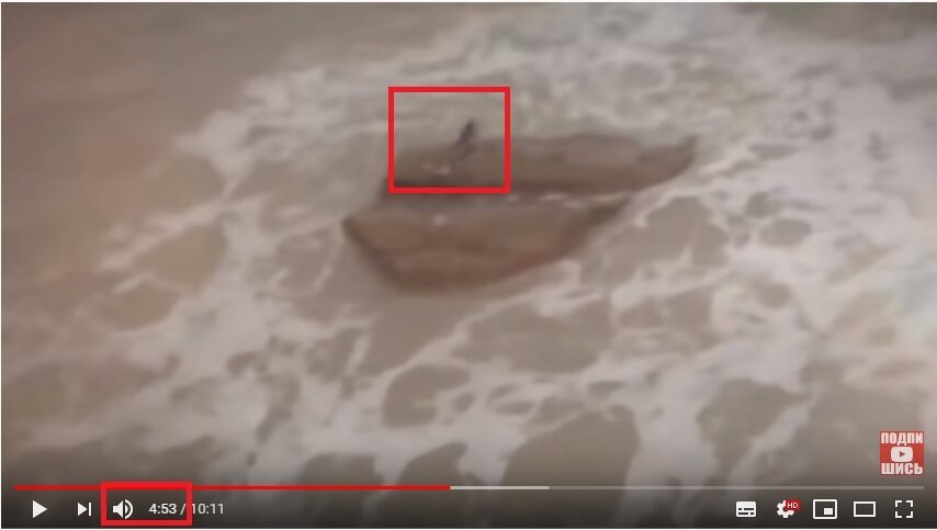 Взято на Youtube-канале "Morinda SHOW"