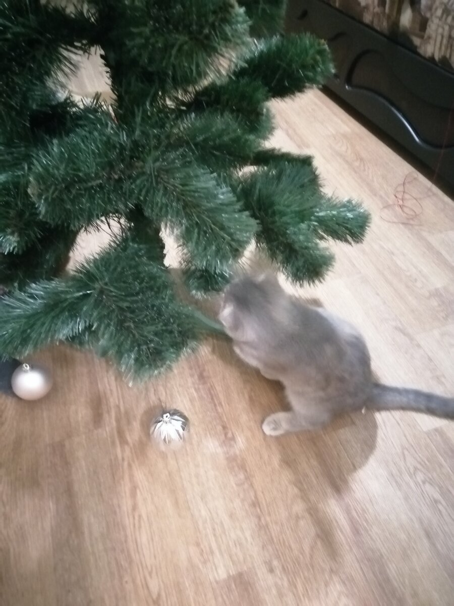 Личное фото.