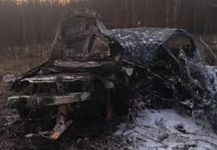 Картинка с сайта   yar.kp.ru