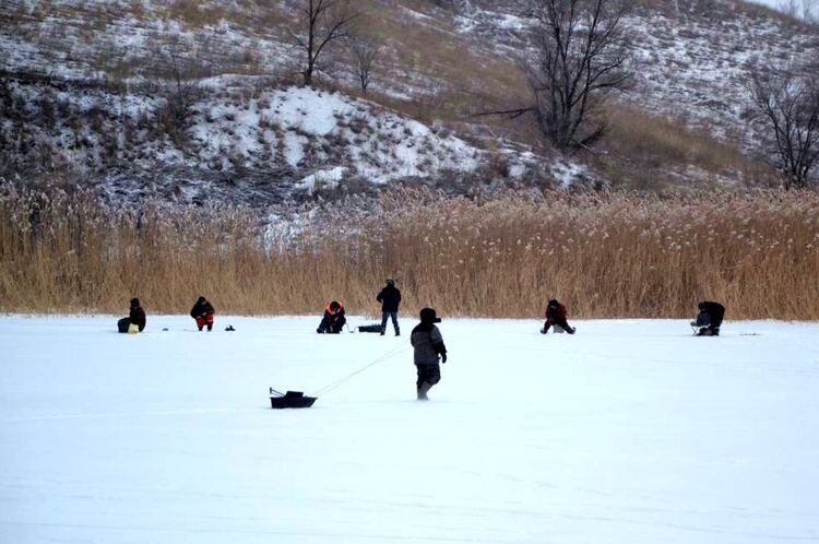 Быстрее, окунь клюёт!