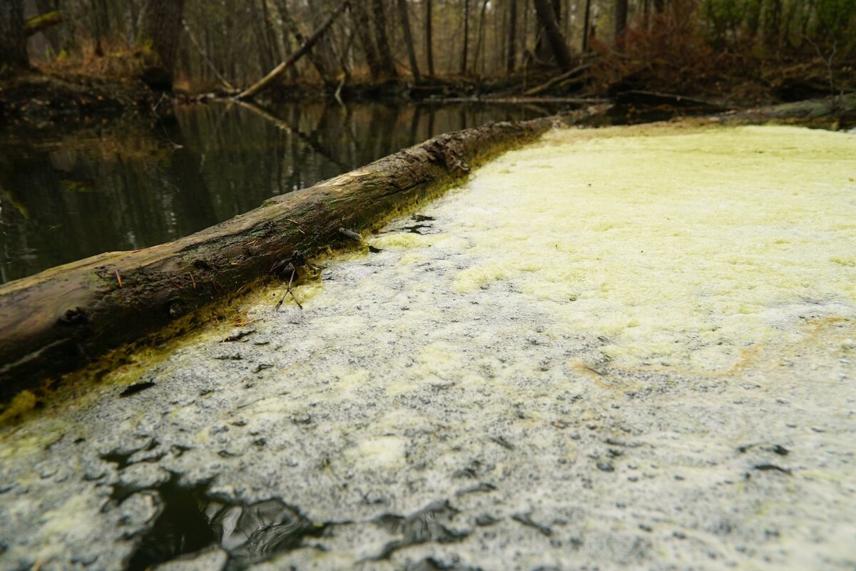 Роберт Карапетян