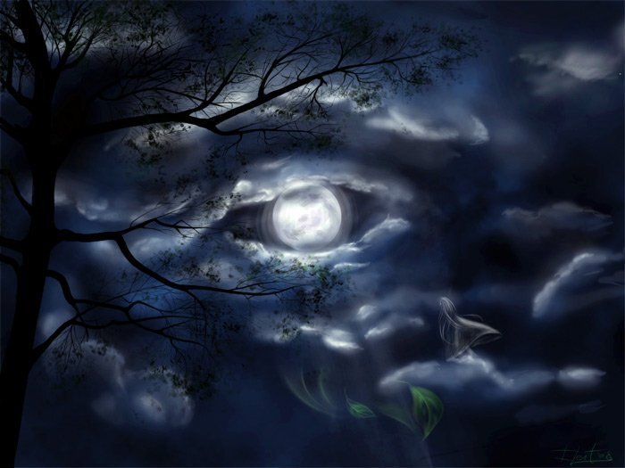 Картинка из открытого источника