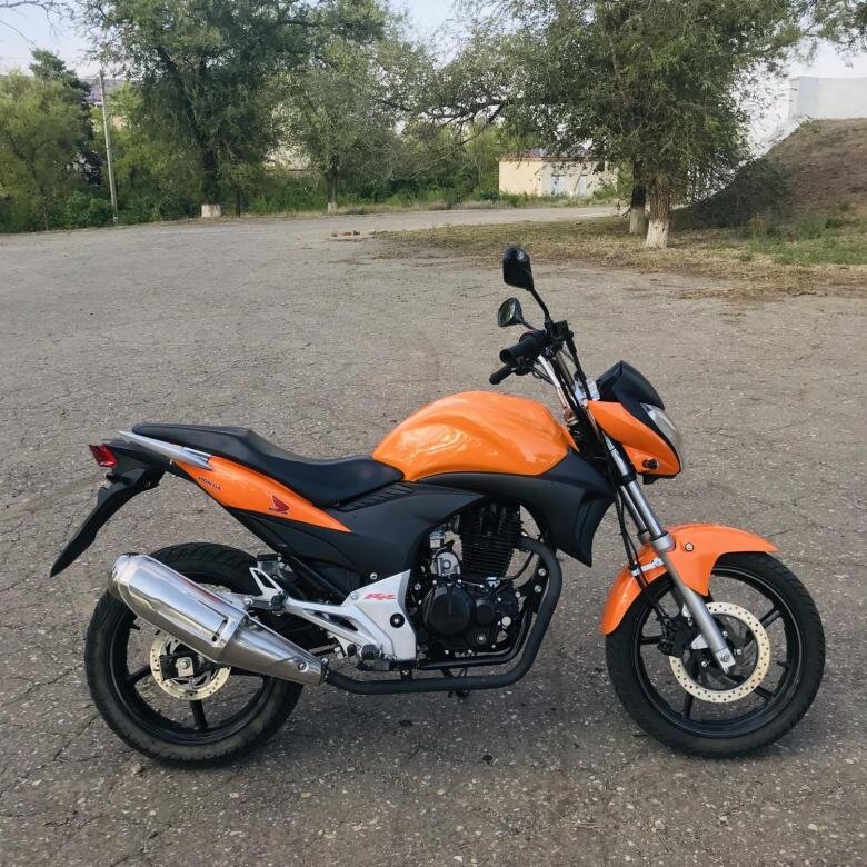 Stels flex 250