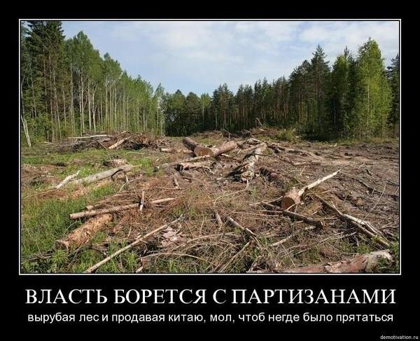 Источник: newsland.com