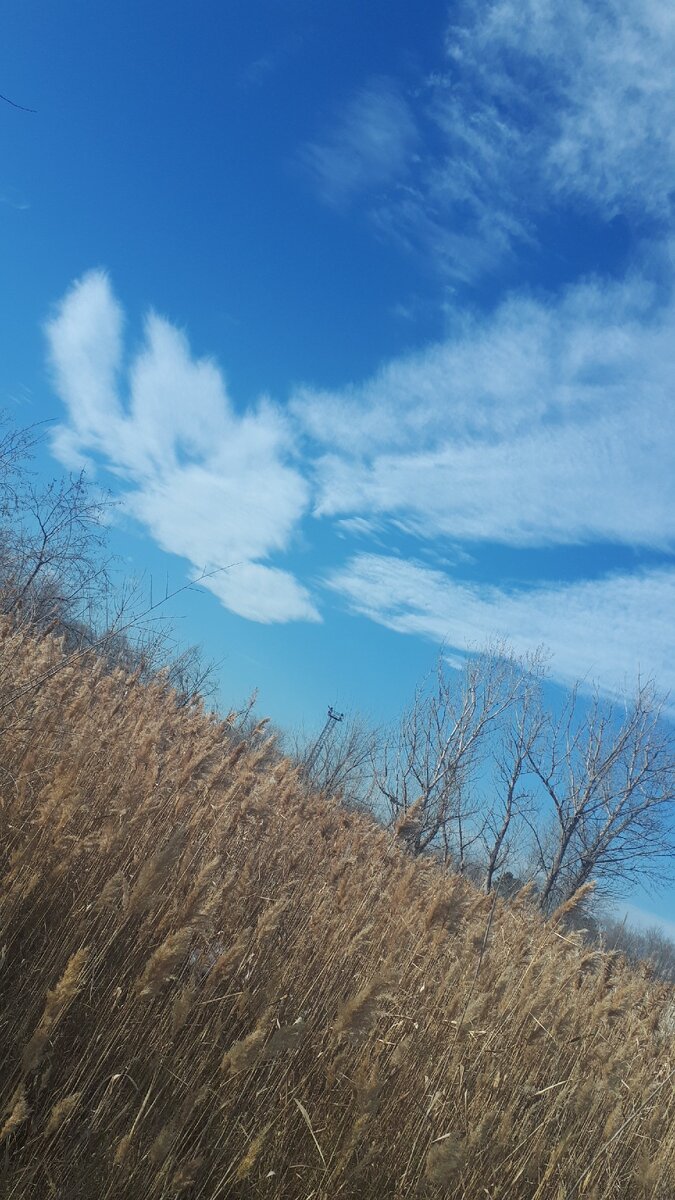 А у нас  Рождество