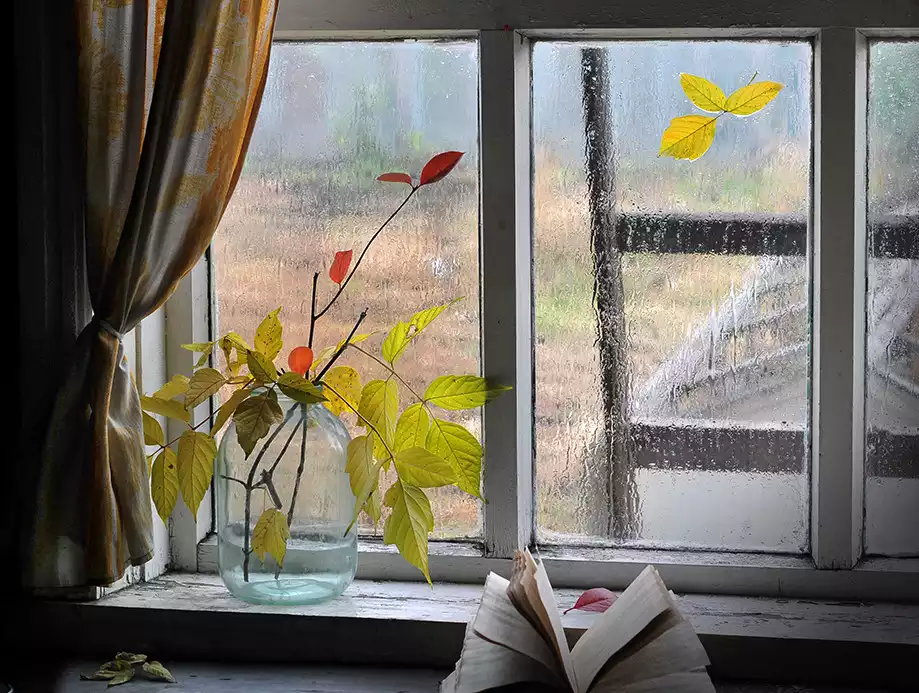 Днем и ночью тепло а. Дождь за окном. Окно осень. Осенний пейзаж за окном.