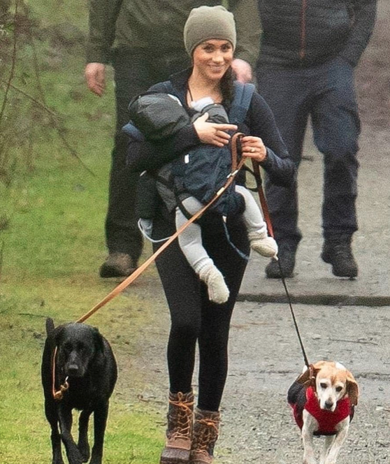 фото: Storage Magazine