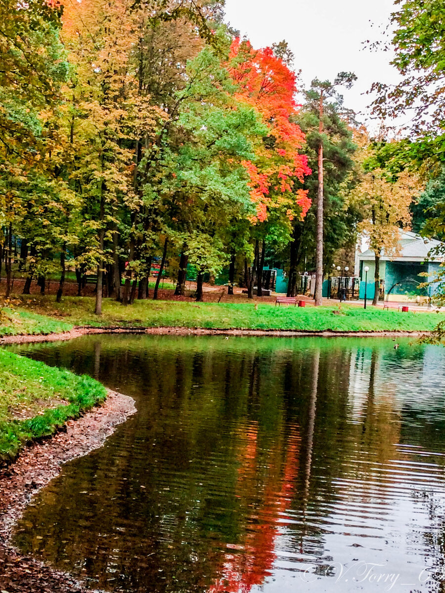 городской парк в красногорске