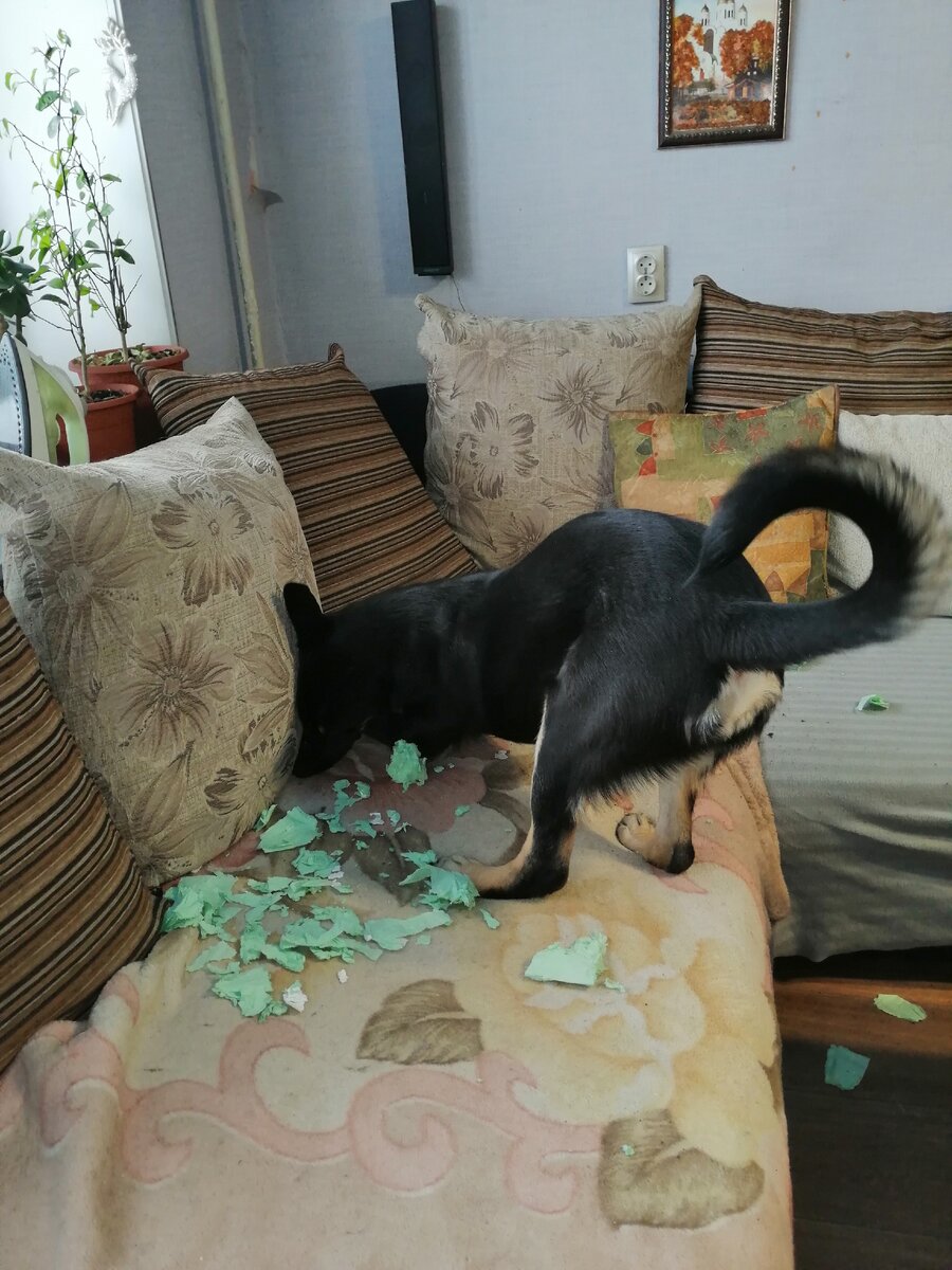 Пока папа с мамой спали