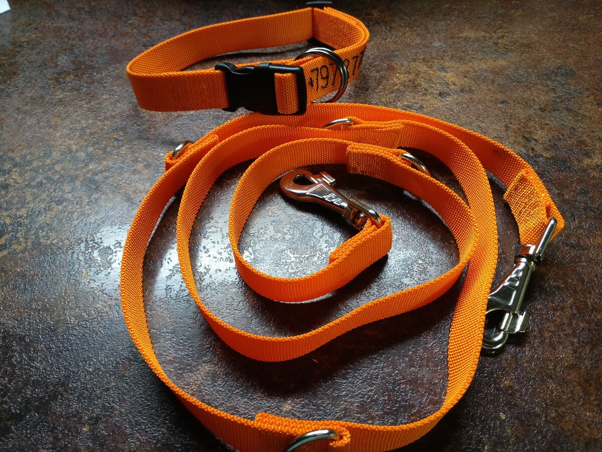 Подарок Бетти на День рождения