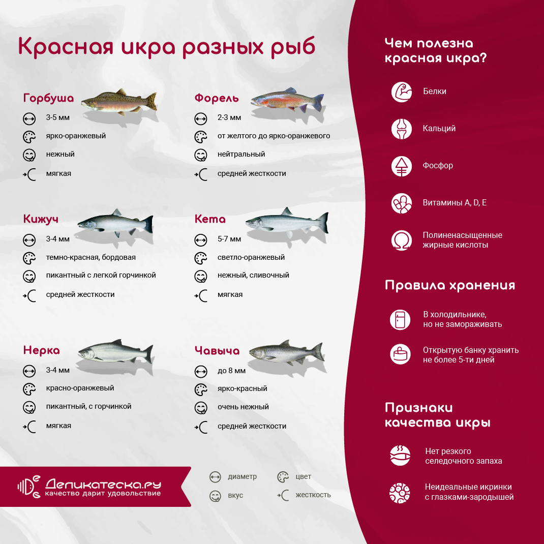 Размеры красной икры. Виды красной икры. Разница красной икры разных рыб. Какая бывает красная икра каких рыб. Виды икры лососевых рыб.