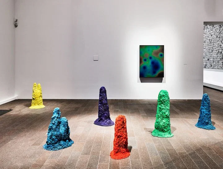 Agnieszka Kurant's A. A. I. (2017) и Conversations 2 (2019) в Музее де Янга в Сан-Франциско  Рэнди Додсон—музеи изобразительных искусств Сан-Франциско