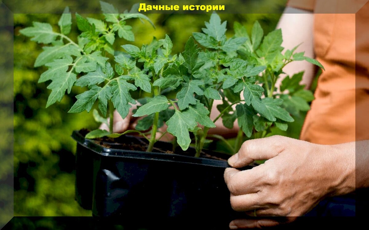 https://vk.com/photo-159774511_457243703