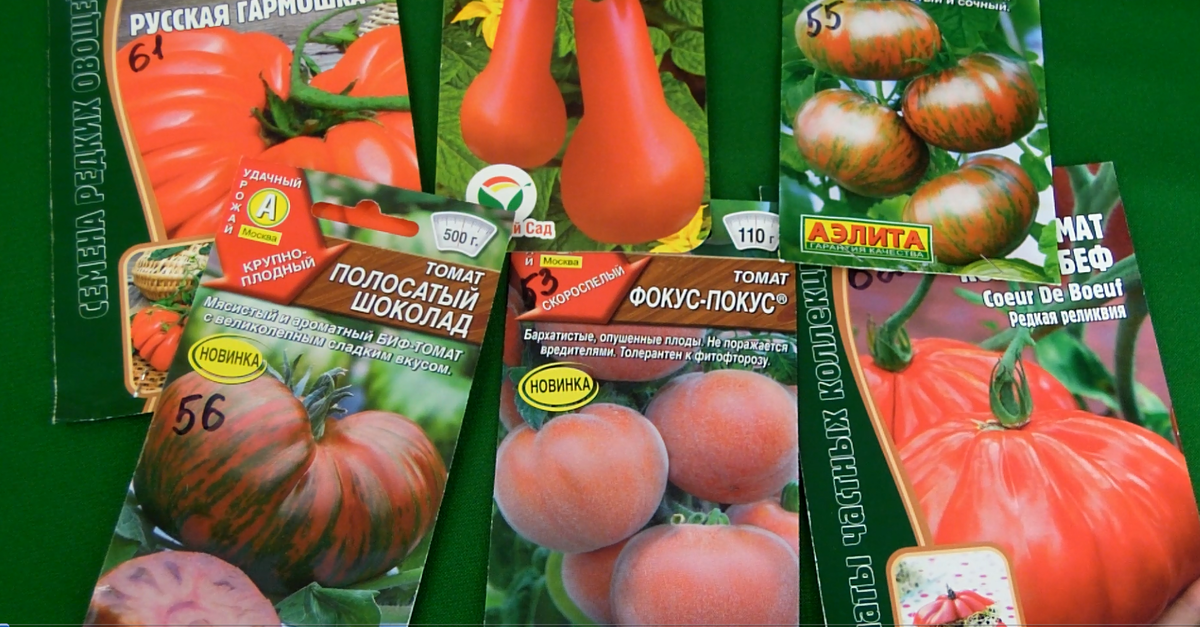 Экзотические сорта Томатов.