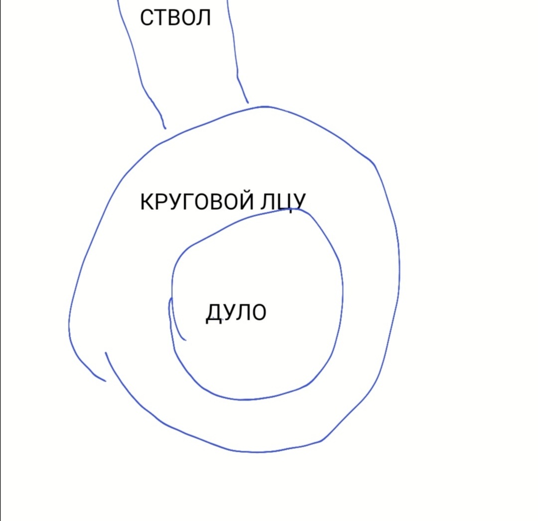 Вот он
