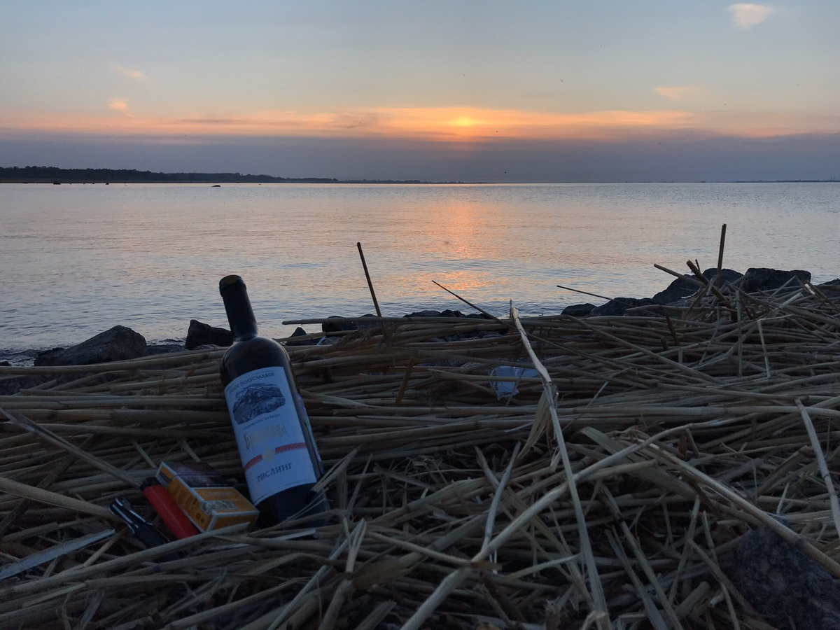 Финский залив