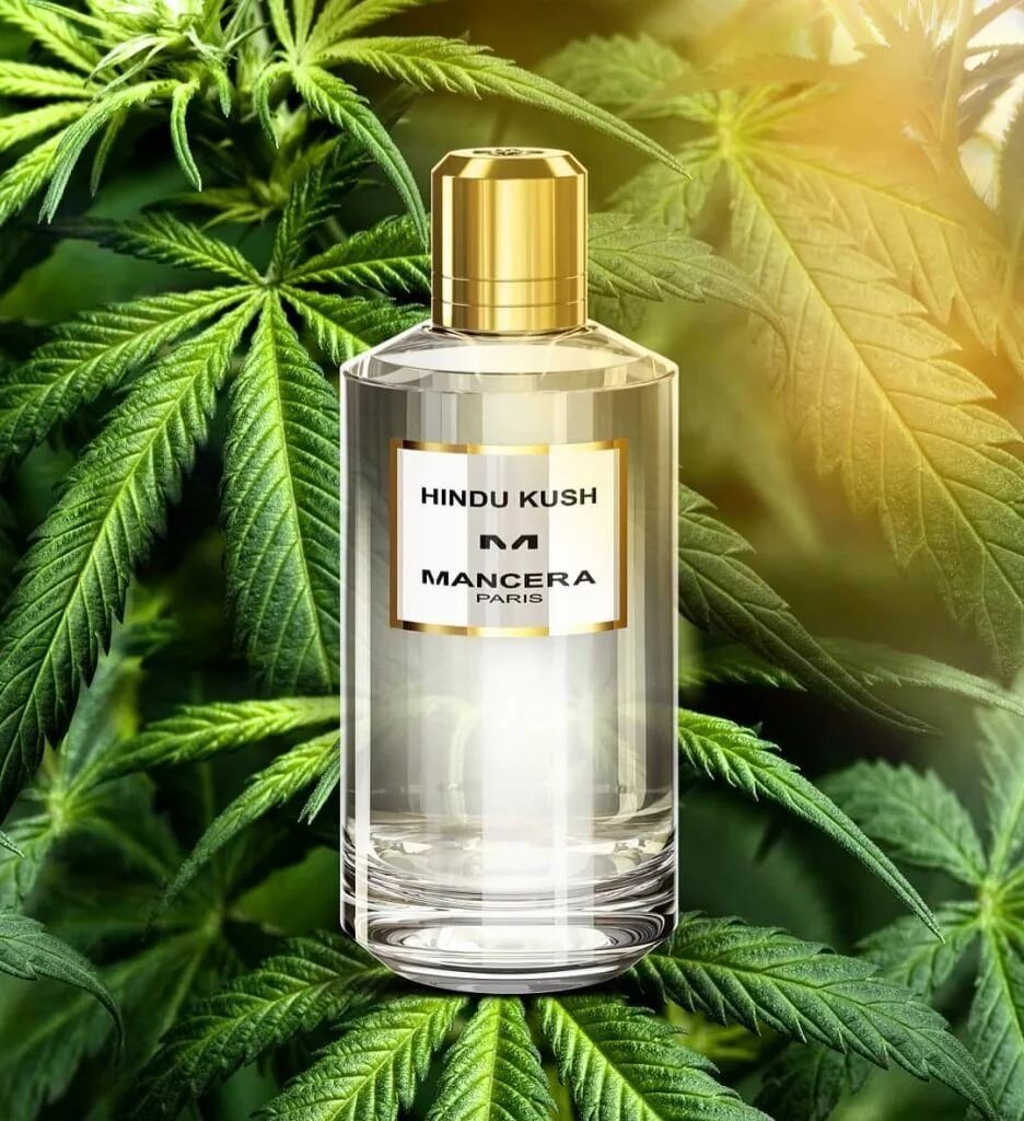 Арромат Mancera Hindu Kush