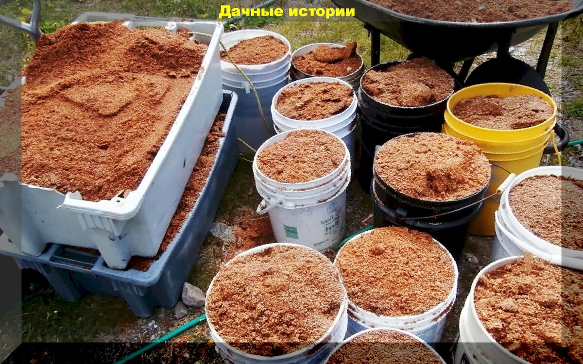 https://vk.com/photo-159774511_457243739