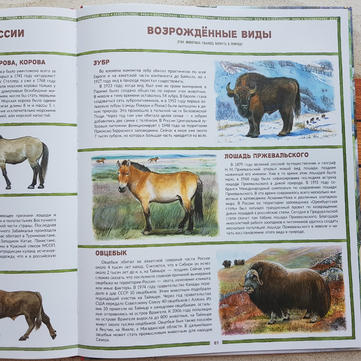 Вымирающие виды животных Украины