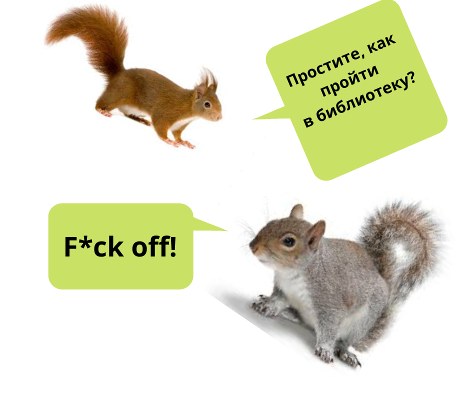 Примерно таким может быть разговор между европейской и американской белками.