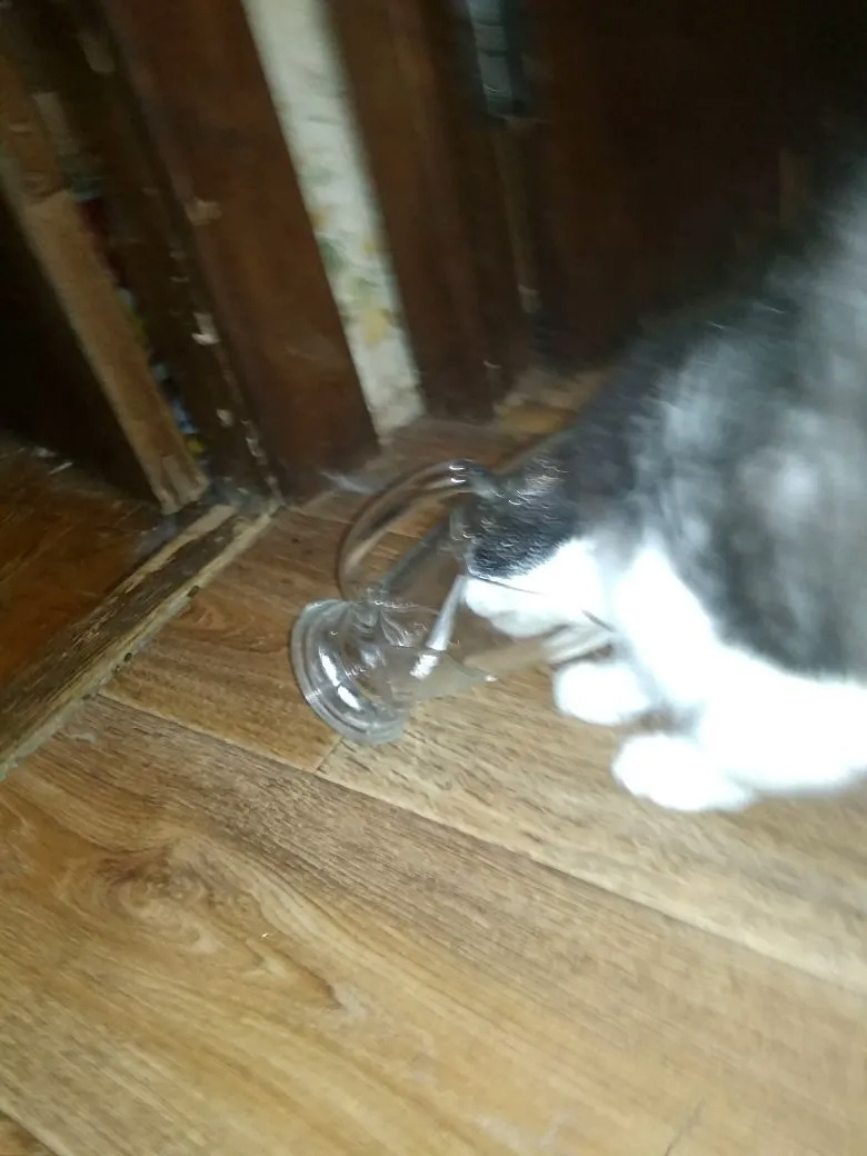 А внутри - незаваренный пакетик Того Самого  Чая.