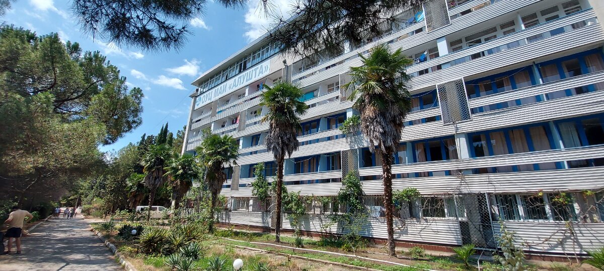 пальмы рядом с МАИ Алушта