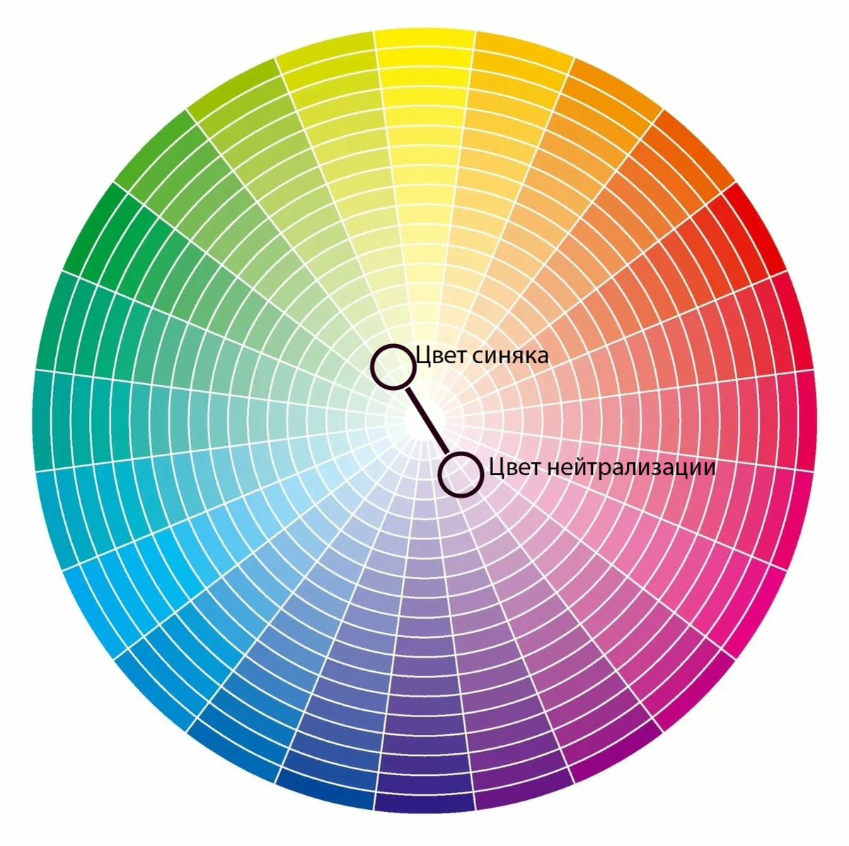 Нейтрализовать розовый цвет. Цветовой круг Иттена для визажиста. Круг цвета. Круг сочетания цветов в макияже. Цветовая палитра круг Освальда.
