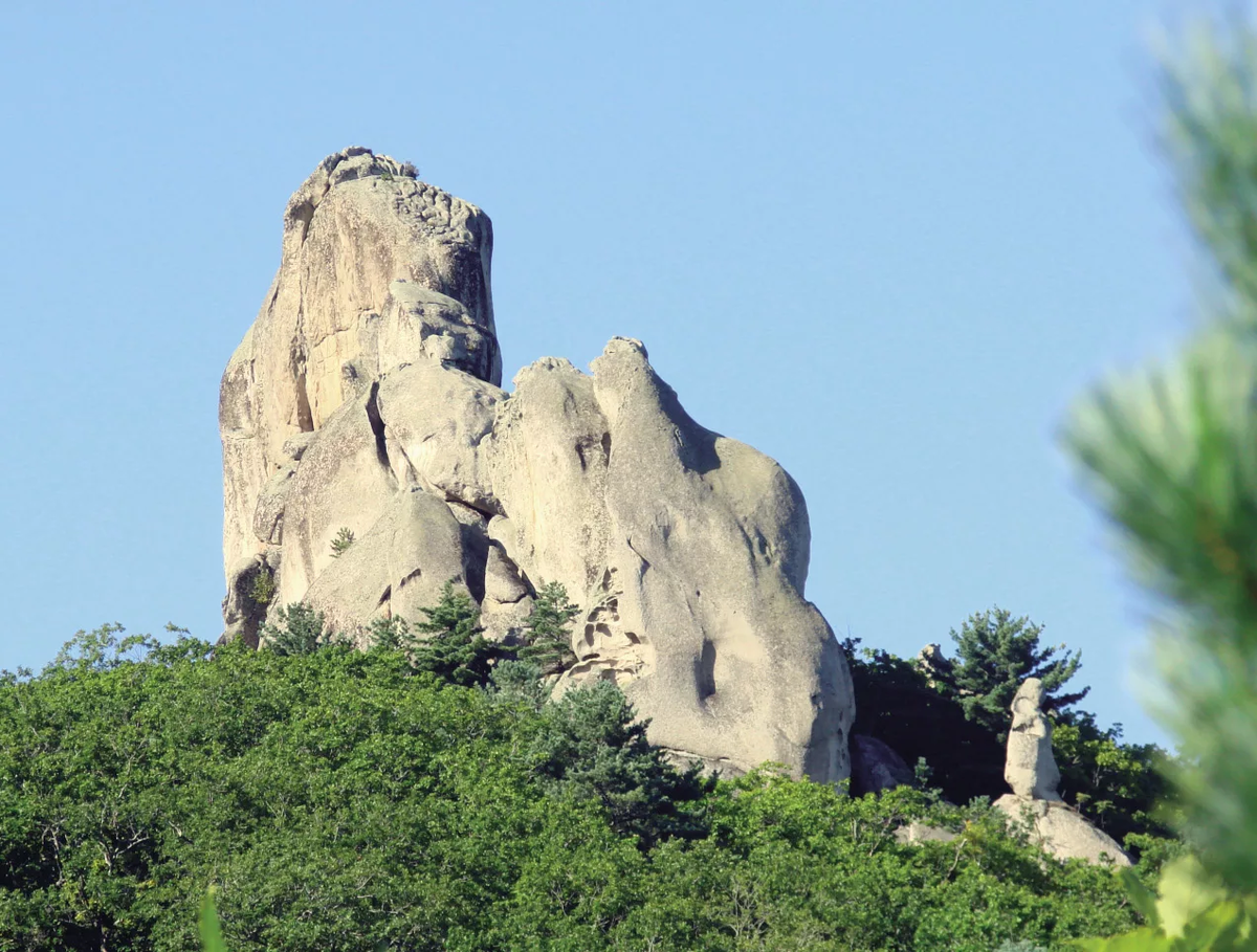 парк дракона приморский край. чистоводное парк драконов. дракон в городе. парк драконов в приморском крае. город драконов найдено.