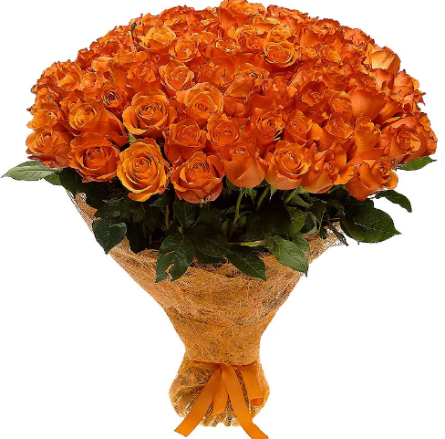 Фотография взята из источника yandex.ru