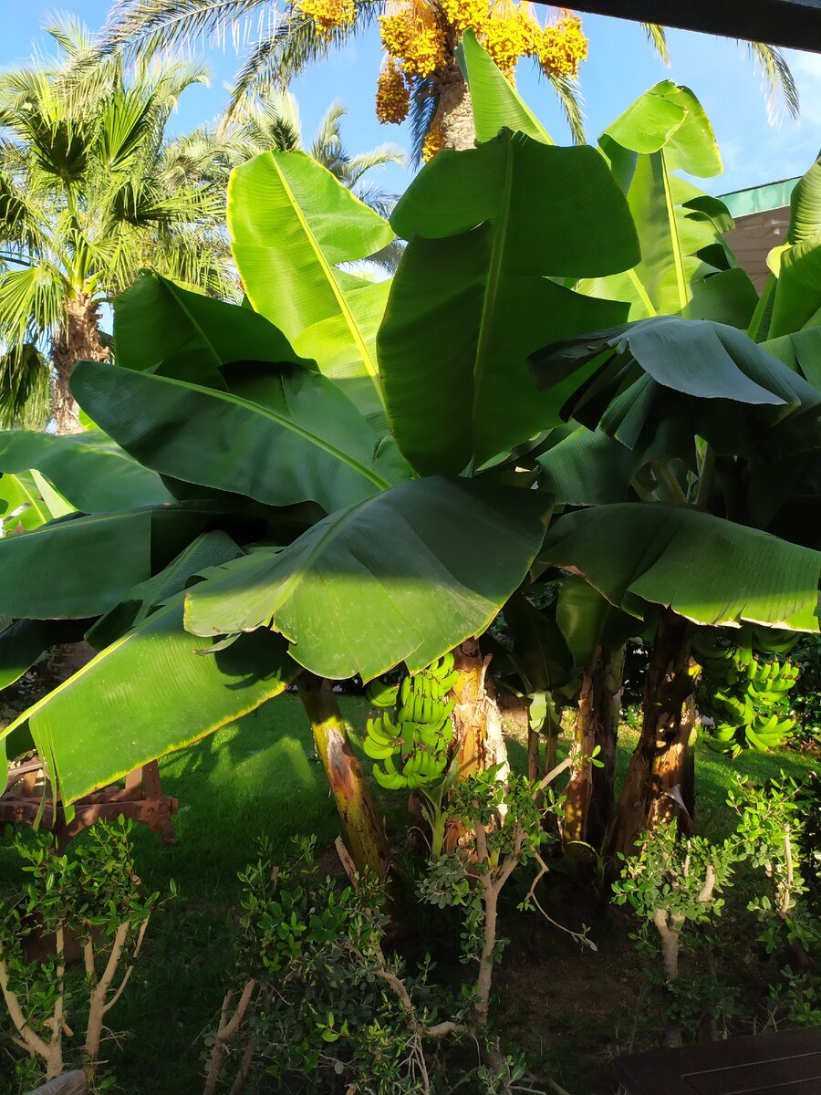 Фото из личного архива