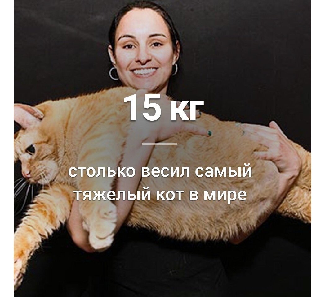 Интересные факты