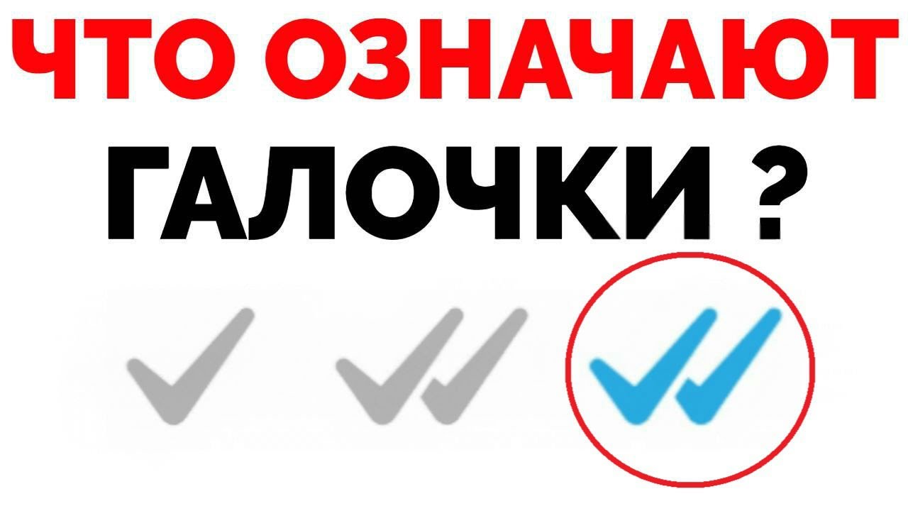 Что означают галочки в WhatsApp - mara-clinic.ru