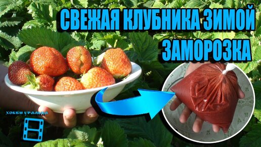 Рецепты из земляники