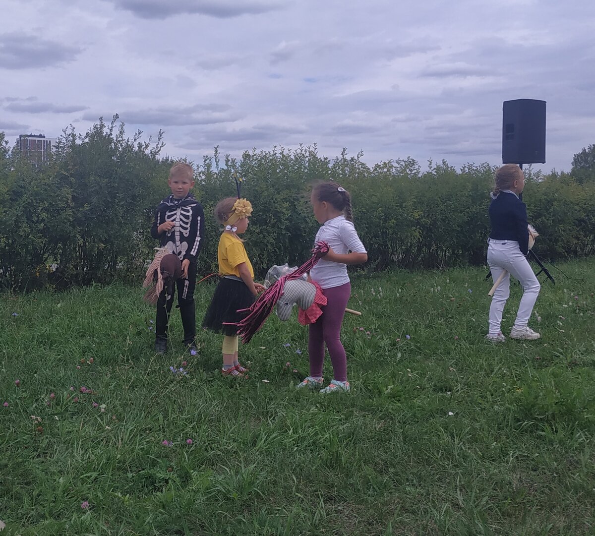 Перед скачками