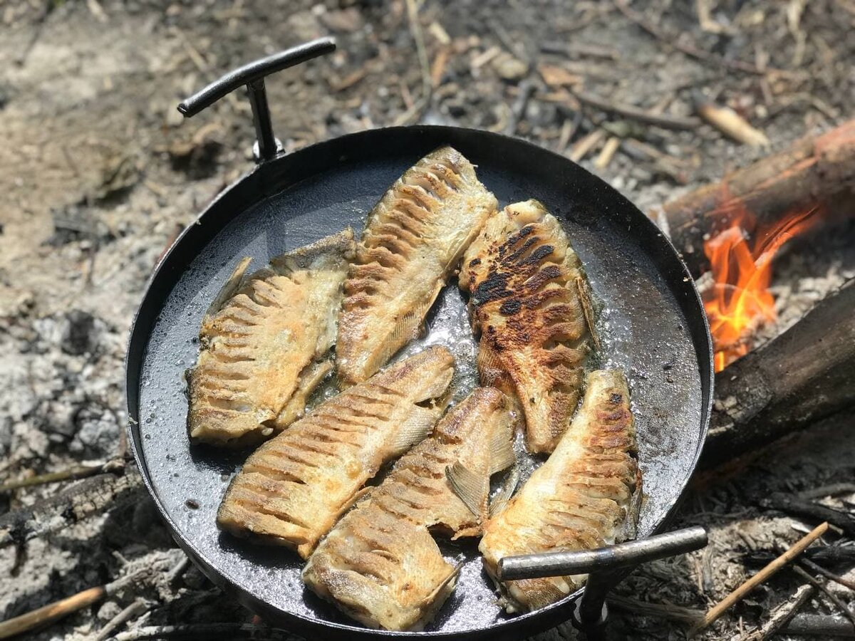 Приготовление рыбы на костре