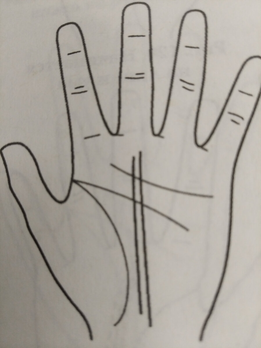 Хиромантия линия судьбы возраст. Программа линия судьбы. Датировка линии сердца в хиромантии. Обозначение линий на ладони. Крем median hand.