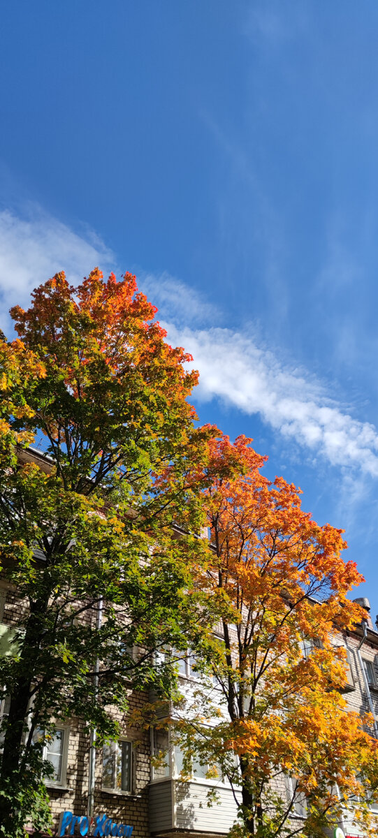 "Сентяяяябрь гориииит... " 