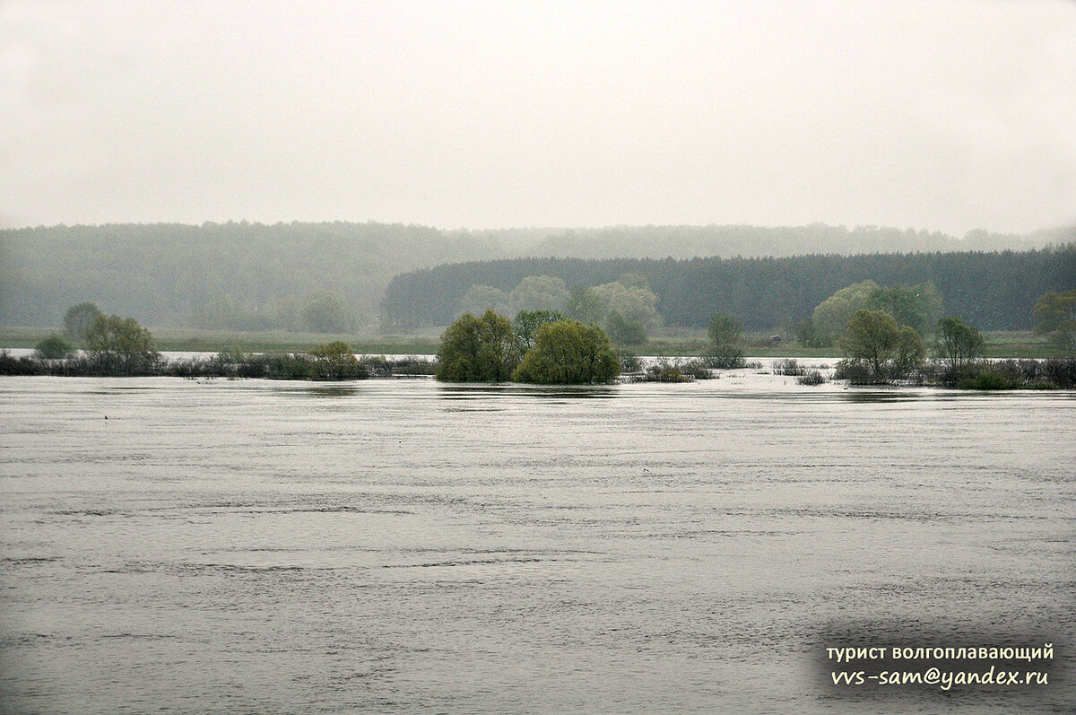 Вода спадёт – появится остров. Фото 13.05.2013.