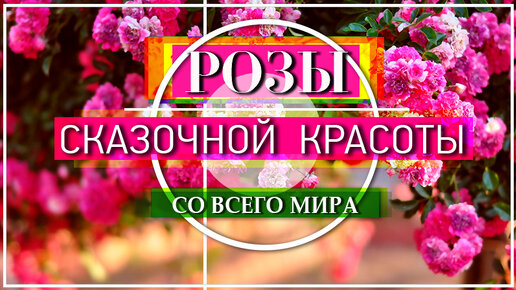 Строительство дома 🏡 из СИП-панелей своими руками – Самостоятельная сборка СИП-дома