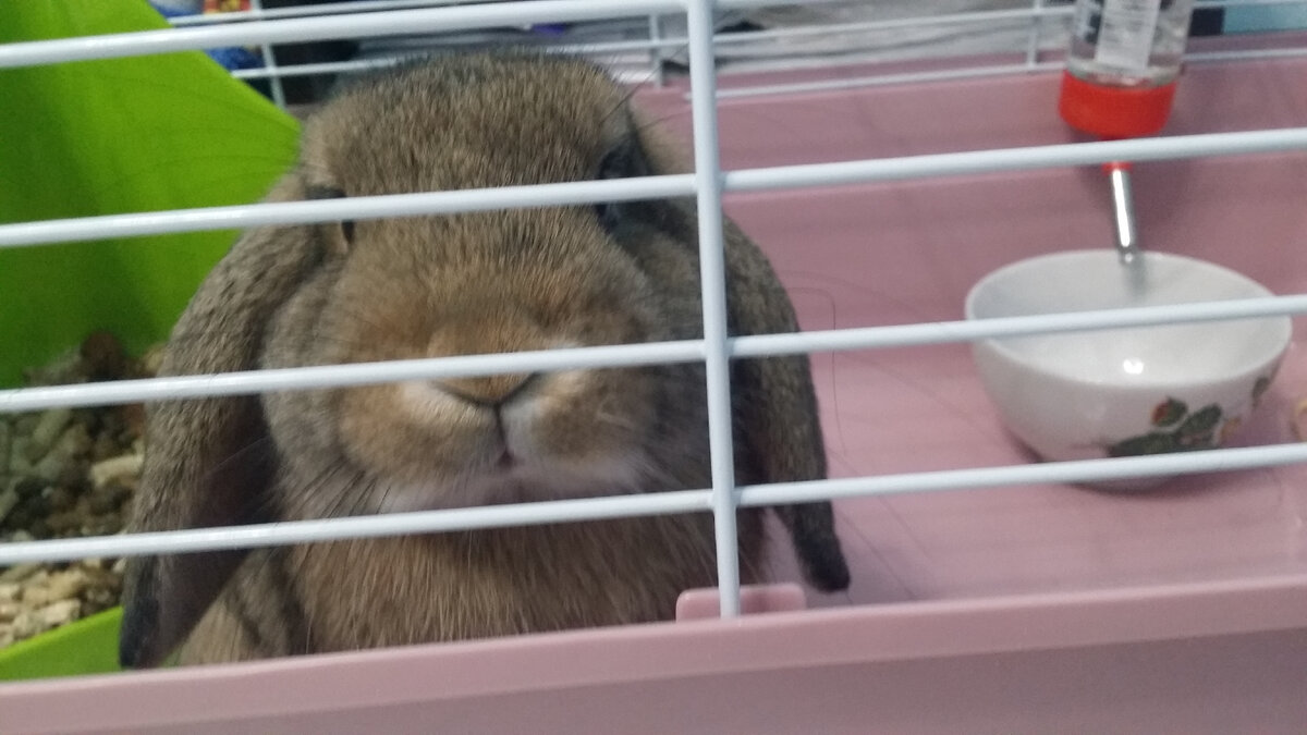 Сегодня меня не пустили без QR кода в кафе