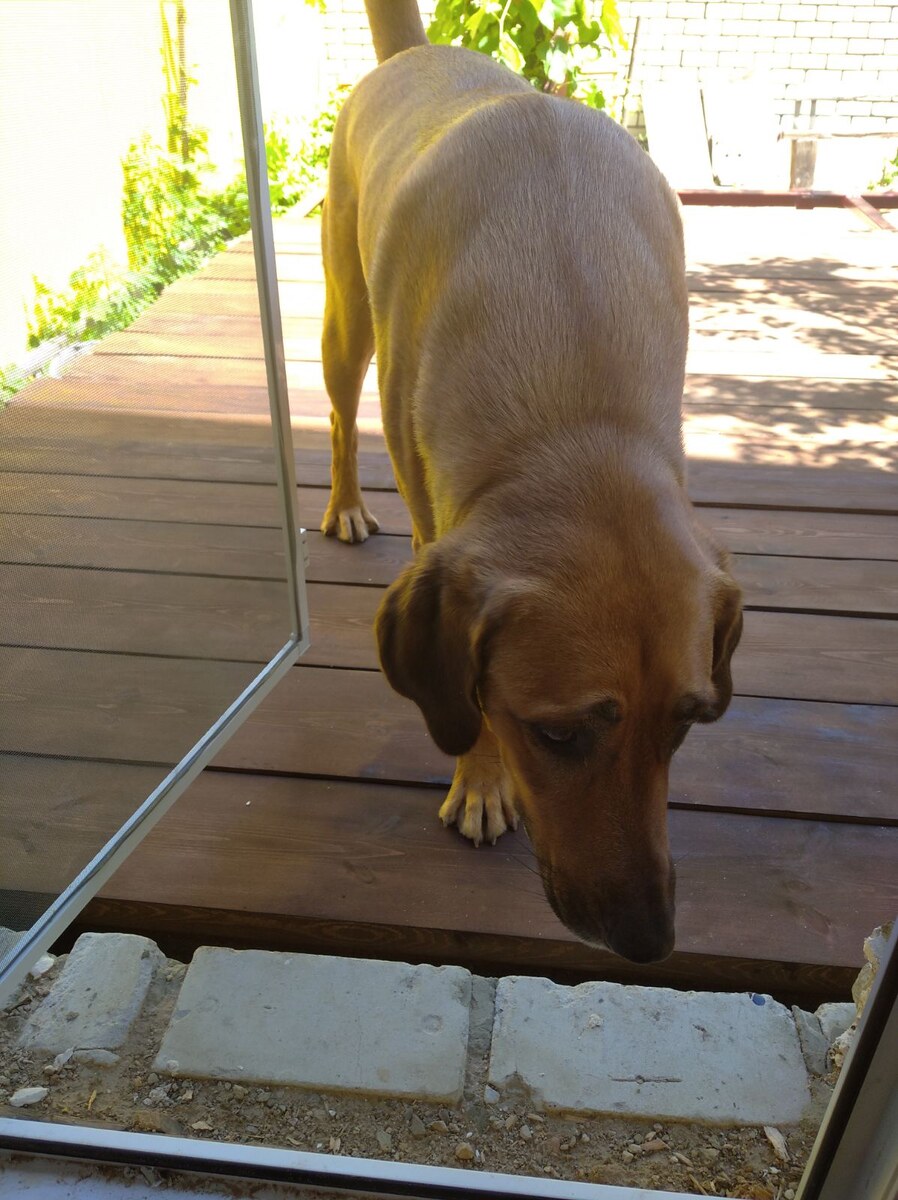 Я тоже строила веранду)))