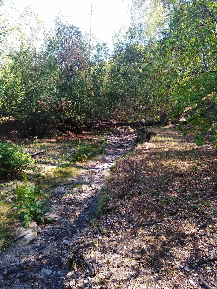 Реки тоже как люди, со временем исчезают с лица земли. В этом году на моей малой родине было засушливое лето. 
