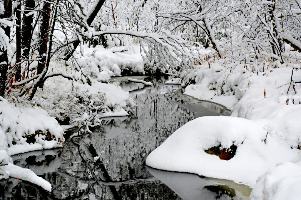 Сильный утренний мороз сковал. Мороз сковал пруд. Мороз сковал реку. Сильный утренний Мороз сковал ручьи. Мороз сковал лужи на лесных дорожках картинки.
