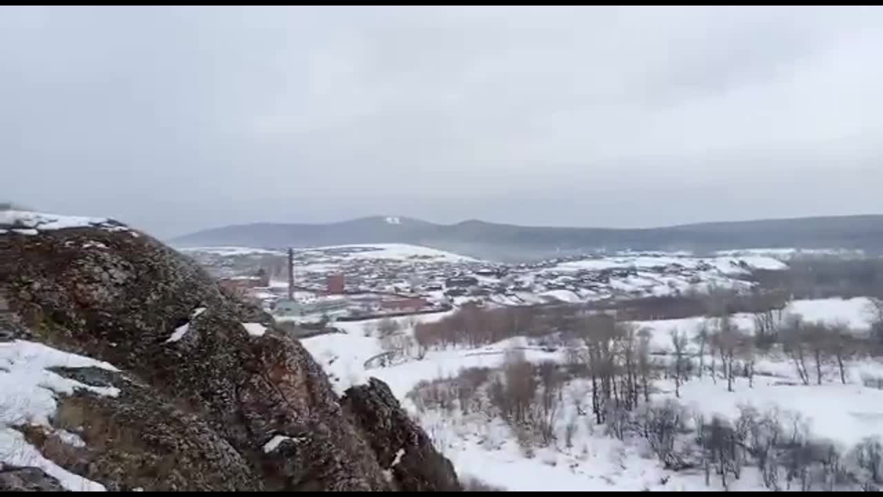 Чечевица Луганчанка - Клуб Органического Земледелия