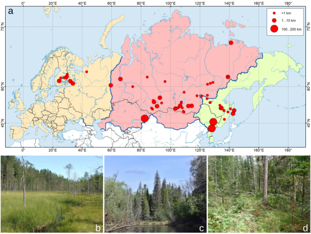 Карта находок медведицы Менетрие и фотографии некоторых мест сбора этой бабочки. Размер кружков указывает на возможную погрешность географической привязки места сбора бабочек.