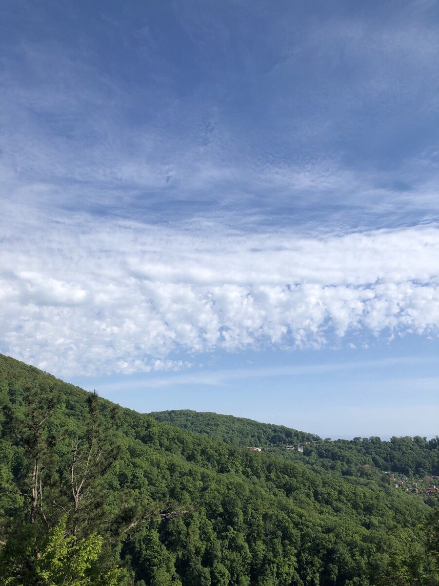 фото из архива автора