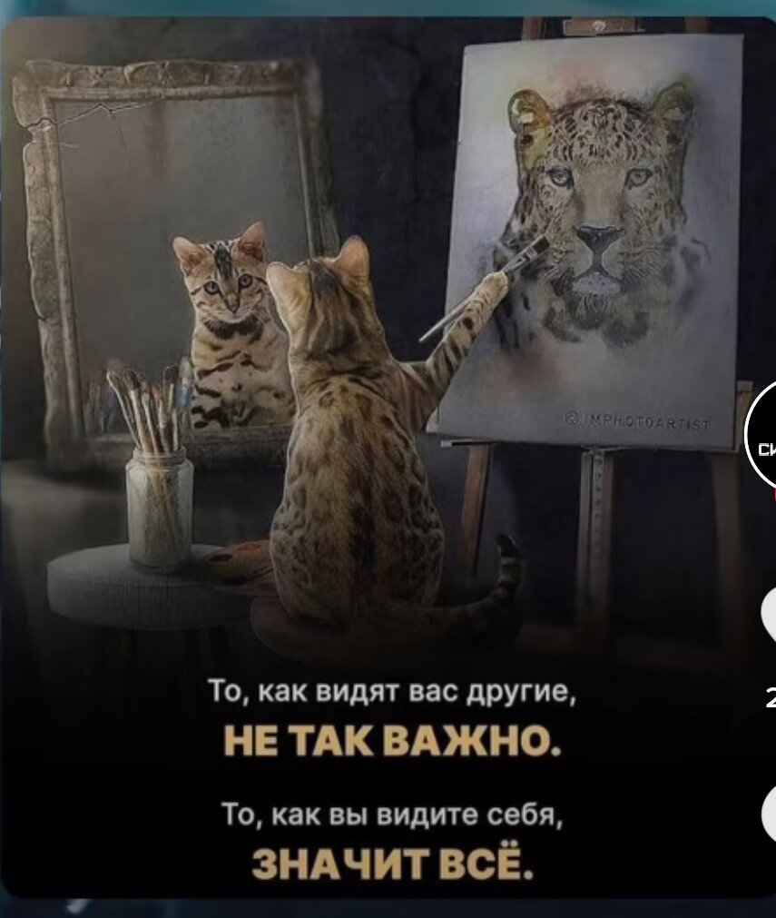 Взято из открытого источника